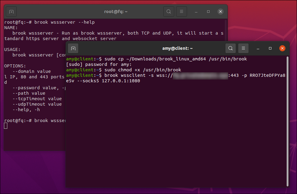 Brook wssclient running in an Ubuntu Linux terminal emulator