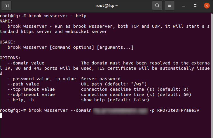 Brook wssserver running in an Ubuntu Linux terminal emulator
